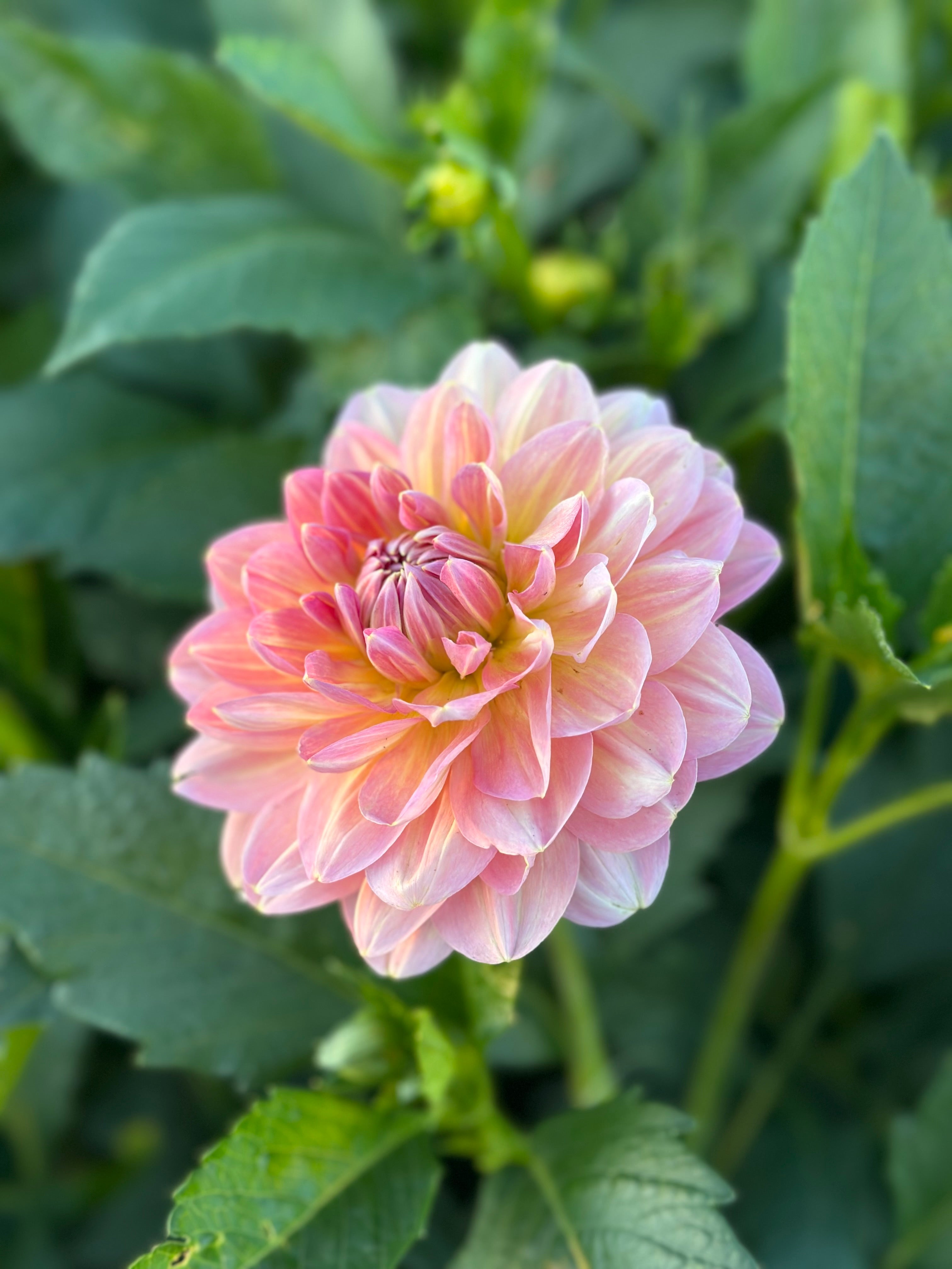 2B37C9BB-30E4-41BB-AB73-